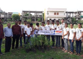 Tree Plantation