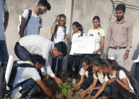 Tree Plantation Program