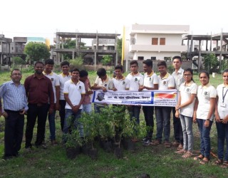 Tree Plantation 