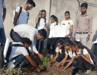 Tree Plantation Program