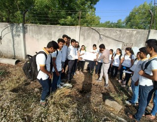 Tree Plantation Program