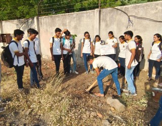 Tree Plantation Program